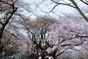 台町・冨士森公園