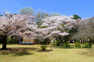 滝山町・滝山城跡公園