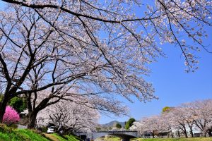 元横山町・浅川土手