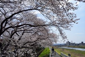 長房町・綾南公園