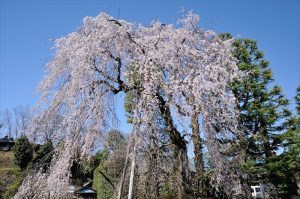 元八王子町・宗関寺