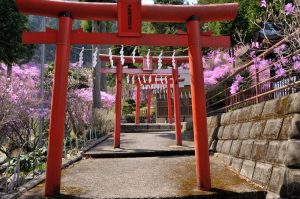 上川町・今熊神社