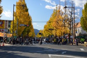 いちょう祭り