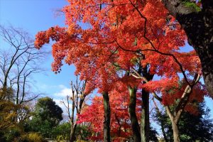 富士森公園